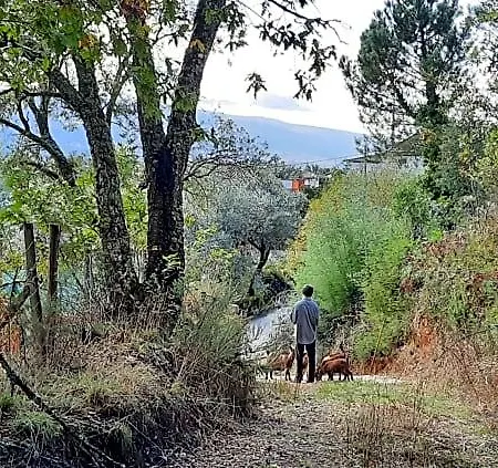 Adore Portugal Natureza & Vista De Serra Ξενοδοχείο